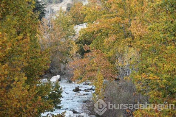 Tağar Köprüsü için Rusya'dan merak edip gelenler var