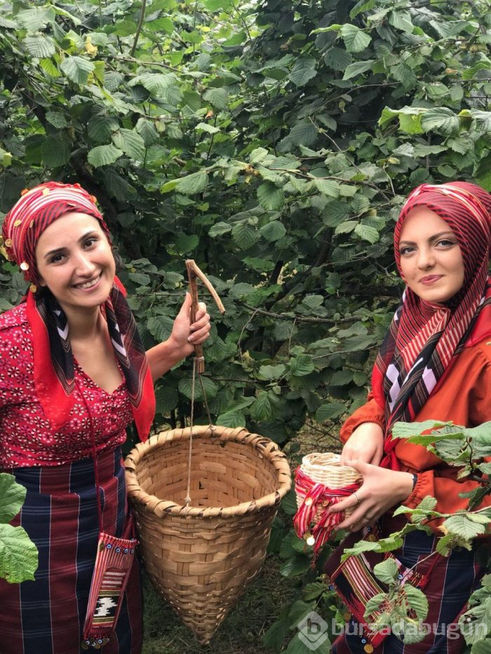 Karadeniz Bölgesi'ni istila ediyor