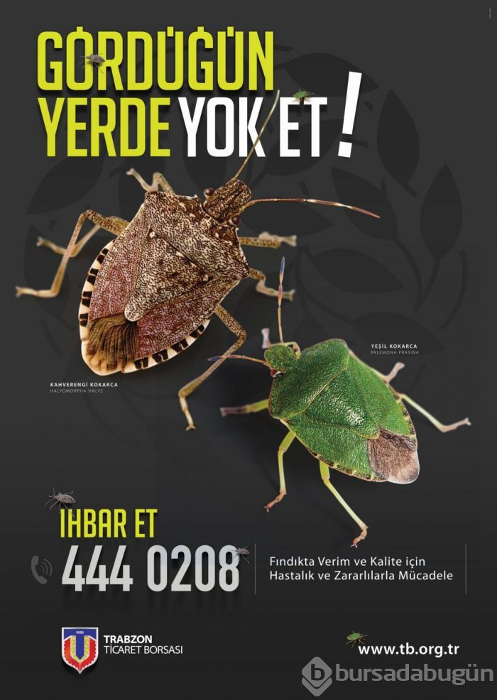 Karadeniz Bölgesi'ni istila ediyor