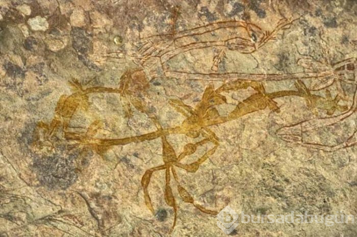 Tarih öncesi sanat eserleri