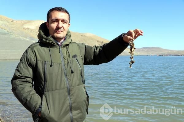 Van Gölü'nde büyük tehlike!