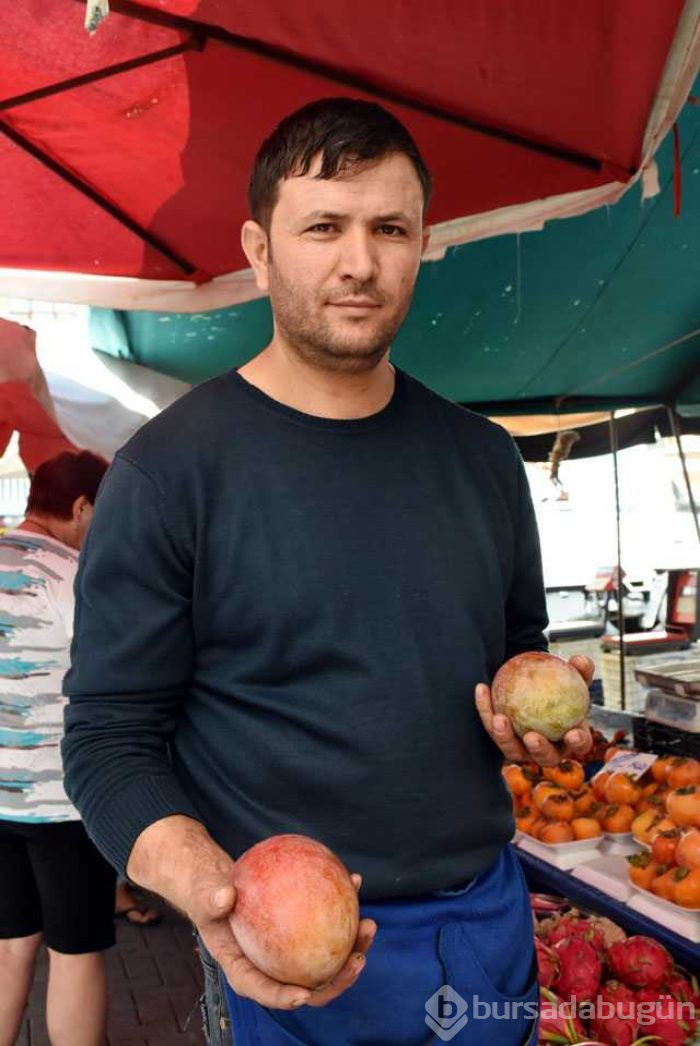 Tanesi 50 liraya satılıyor