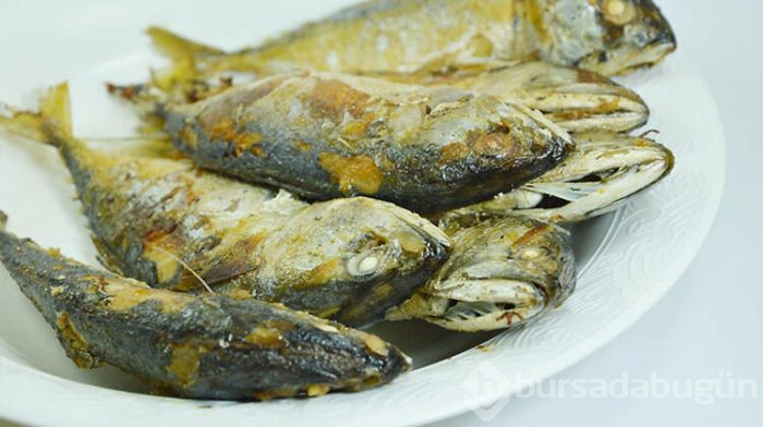 En fazla omega 3 içeren balık uskumru!