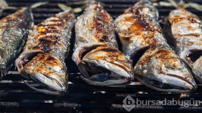 En fazla omega 3 içeren balık uskumru!