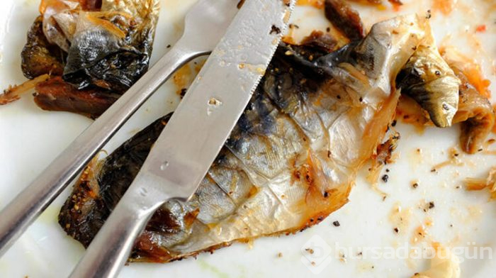 En fazla omega 3 içeren balık uskumru!