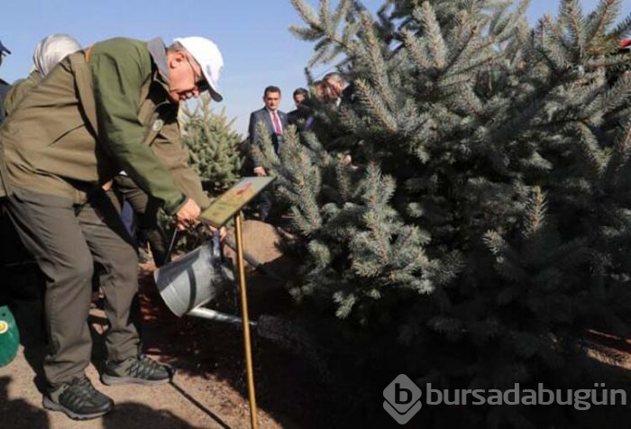 Cumhurbaşkanı Recep Tayyip Erdoğan fidan dikti!