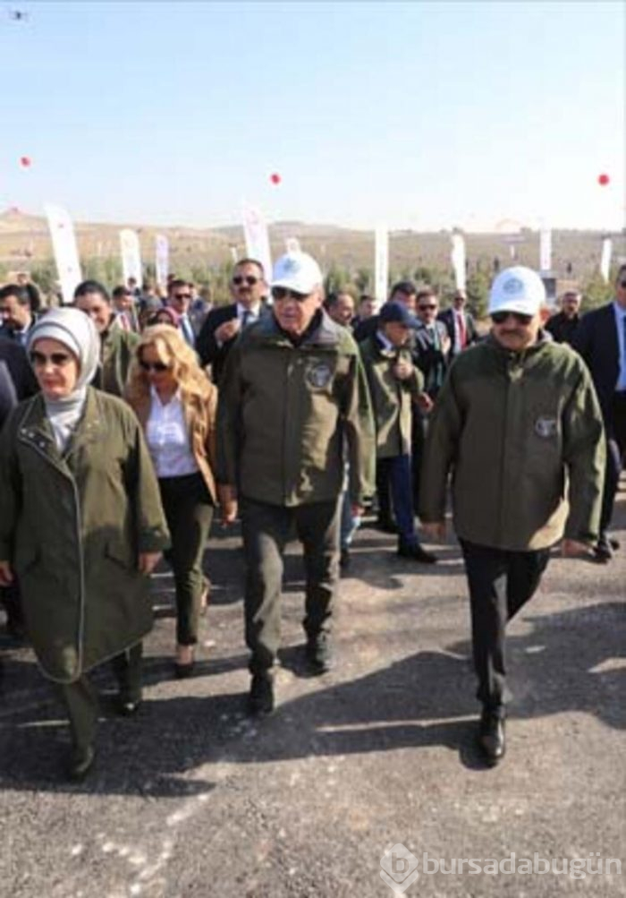 Cumhurbaşkanı Recep Tayyip Erdoğan fidan dikti!