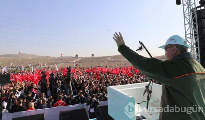 Cumhurbaşkanı Recep Tayyip Erdoğan fidan dikti!