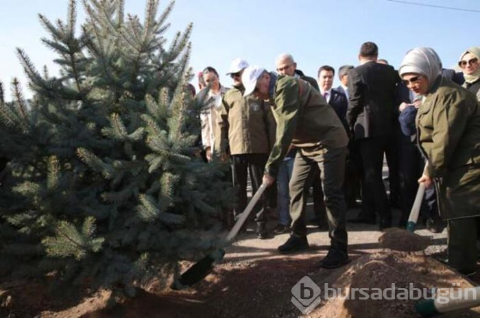 Cumhurbaşkanı Recep Tayyip Erdoğan fidan dikti!