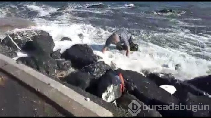 Büyükada'da dalga paniği