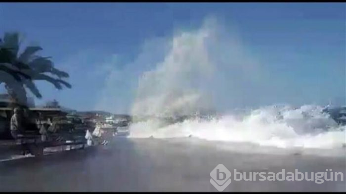 Büyükada'da dalga paniği