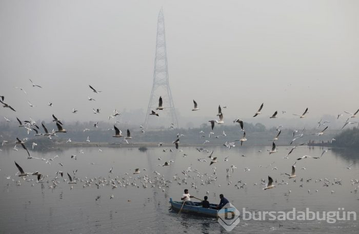 Fotoğraflarla dünya turu