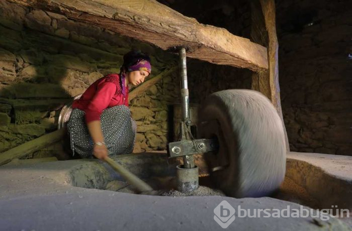  150 yıllık değirmende öğütülüyor
