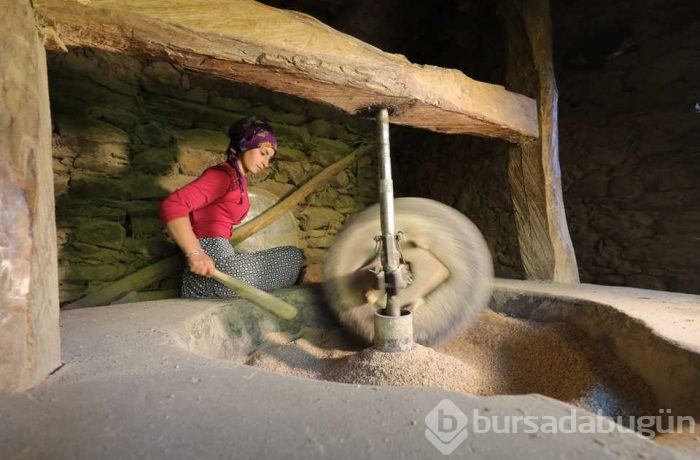  150 yıllık değirmende öğütülüyor