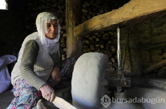  150 yıllık değirmende öğütülüyor