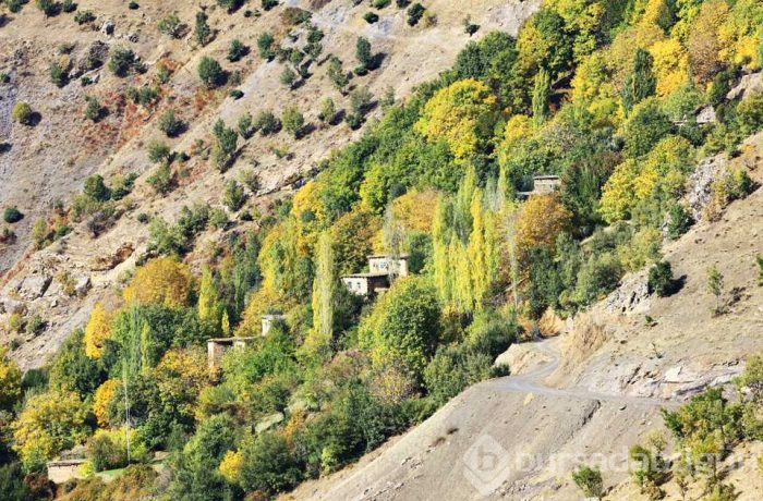  150 yıllık değirmende öğütülüyor
