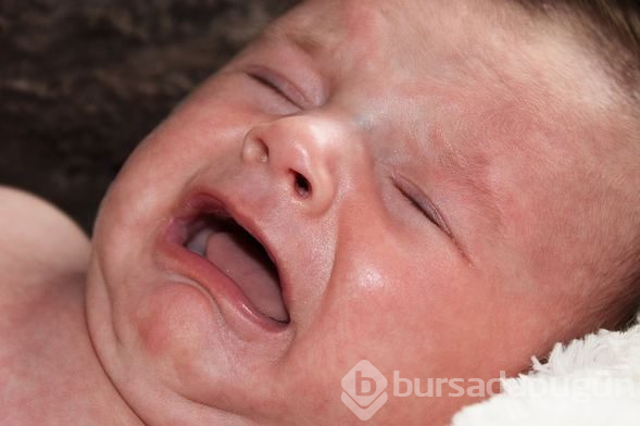 Bebekler hakkında bilmediğiniz 10 şey
