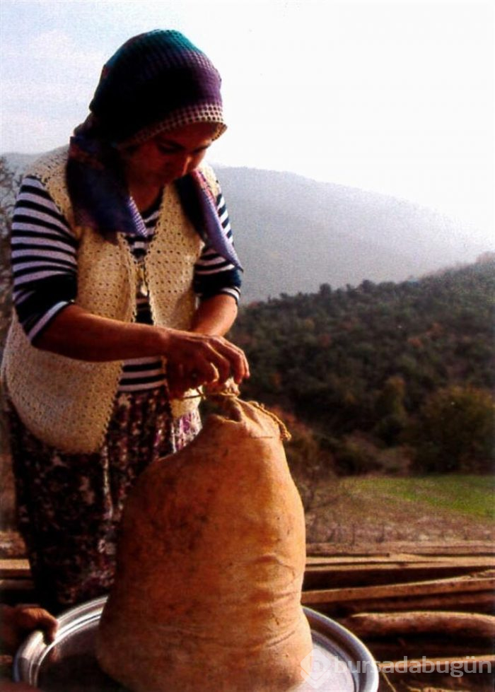 Eğridere'nin yünlü tulumu Dünya Mirası Listesinde