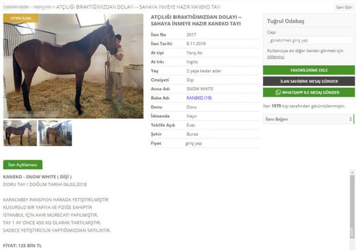 Tuğrul Odabaş'ın boşandıktan sonra ilk işi bu oldu!
