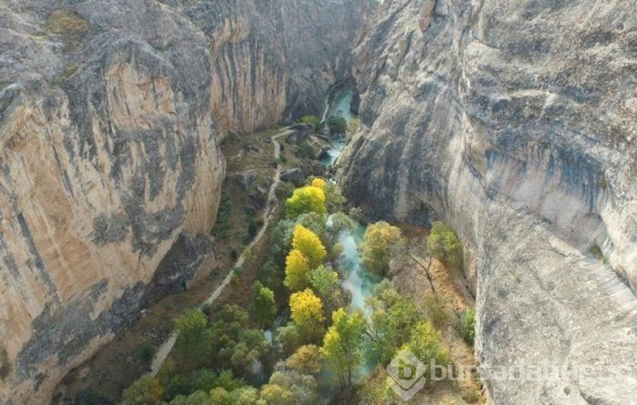 Sonbaharda doğa tutkunlarının uğrak mekanı: Malatya Tohma Kanyonu
