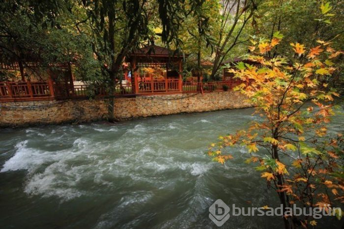 Sonbaharda doğa tutkunlarının uğrak mekanı: Malatya Tohma Kanyonu
