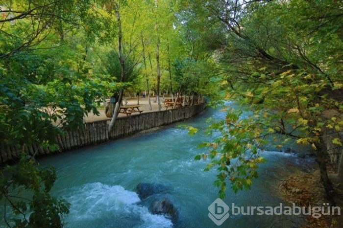 Sonbaharda doğa tutkunlarının uğrak mekanı: Malatya Tohma Kanyonu
