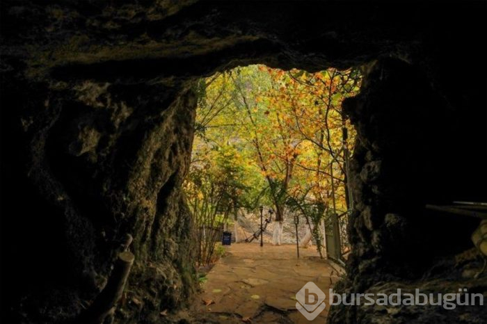 Sonbaharda doğa tutkunlarının uğrak mekanı: Malatya Tohma Kanyonu
