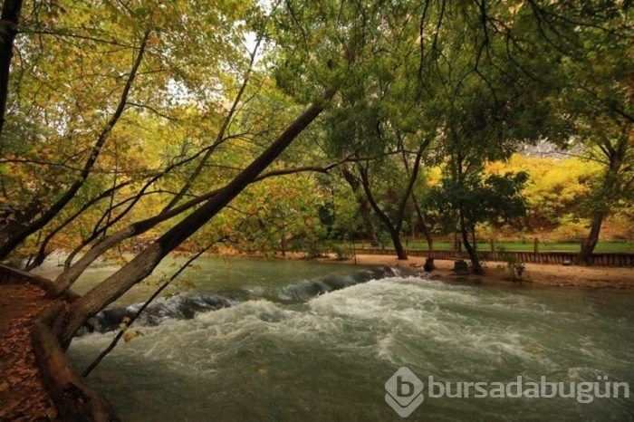 Sonbaharda doğa tutkunlarının uğrak mekanı: Malatya Tohma Kanyonu
