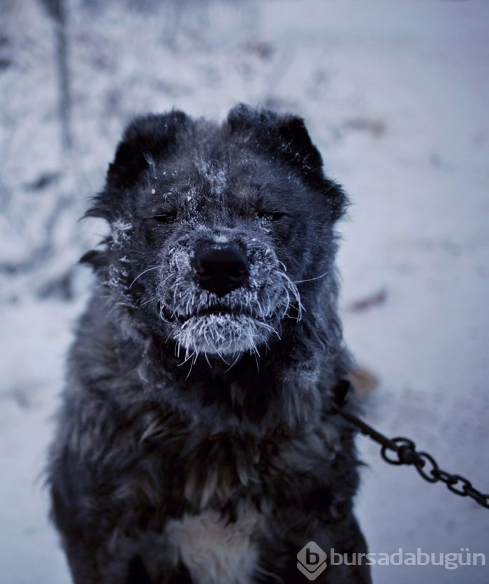 Dünyanın en soğuk şehri Yakutsk'da hayat
