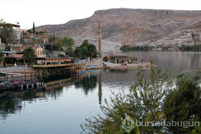 'Sakin şehir' Halfeti
