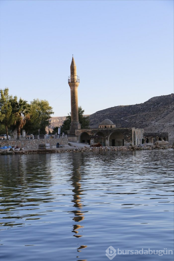 'Sakin şehir' Halfeti
