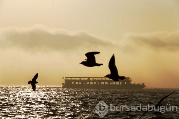 İstanbul sisin etkisiyle görünmez oldu 