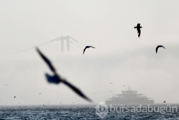İstanbul sisin etkisiyle görünmez oldu 