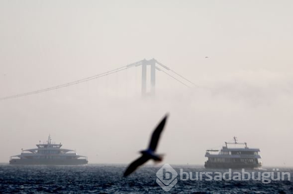 İstanbul sisin etkisiyle görünmez oldu 