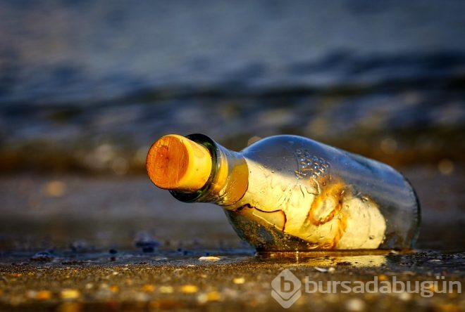 10 yaşındayken okyanusa bırakmıştı! 9 sene sonra...