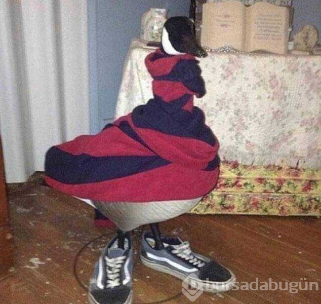 Günün en çok paylaşılan fotoğrafları