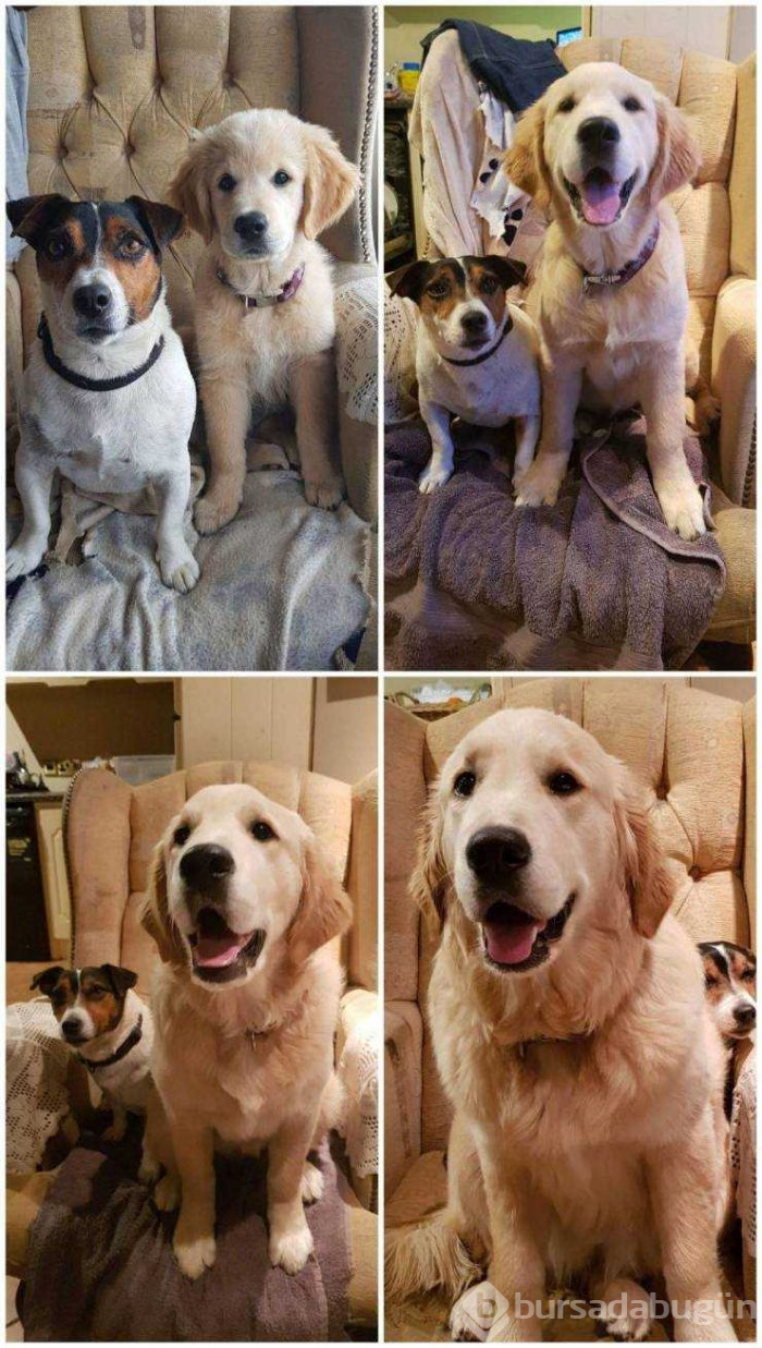 Günün en çok paylaşılan fotoğrafları
