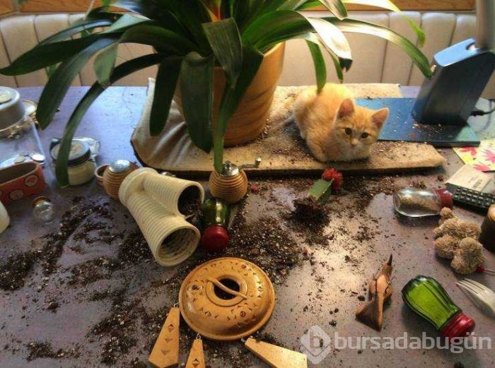 Günün en çok paylaşılan fotoğrafları