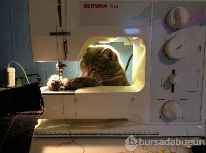 Günün en çok paylaşılan fotoğrafları