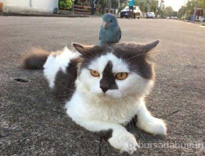 Günün en çok paylaşılan fotoğrafları