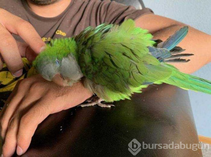 Günün en çok paylaşılan fotoğrafları