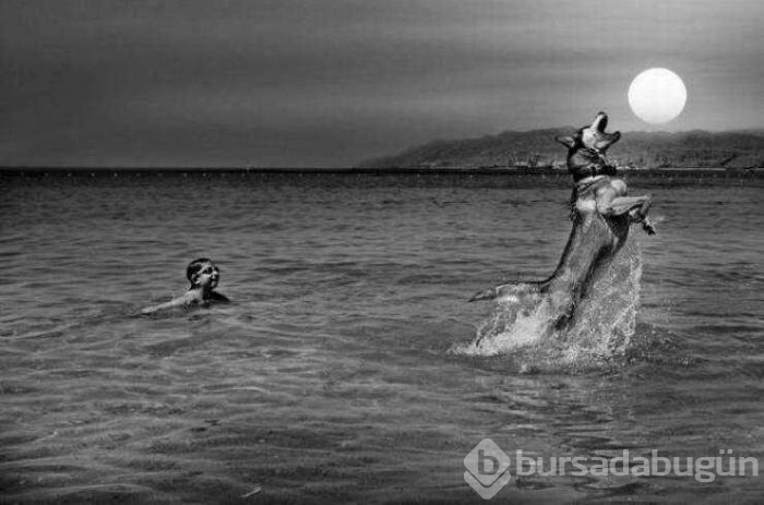 Günün en çok paylaşılan fotoğrafları