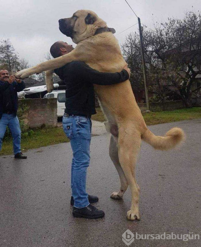 Günün en çok paylaşılan fotoğrafları