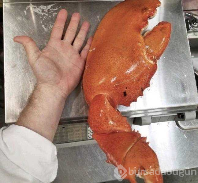 Günün en çok paylaşılan fotoğrafları