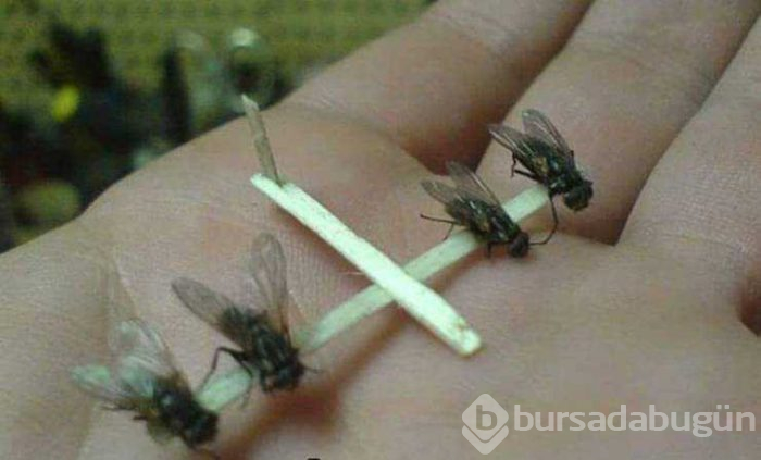 Günün en çok paylaşılan fotoğrafları