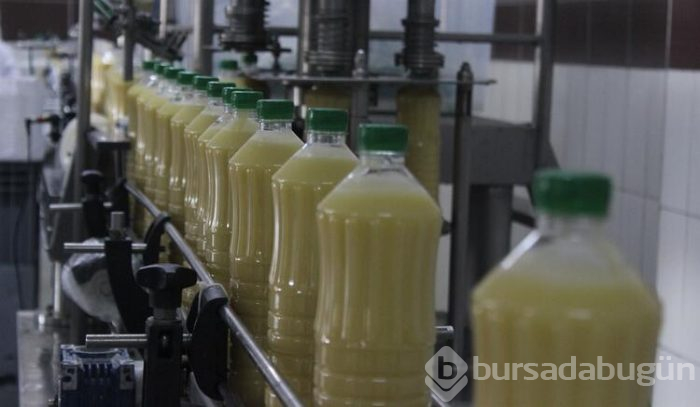 Bursa'da bozanın meyvelisini ürettiler