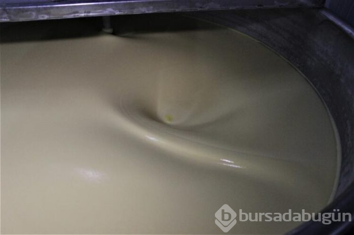 Bursa'da bozanın meyvelisini ürettiler