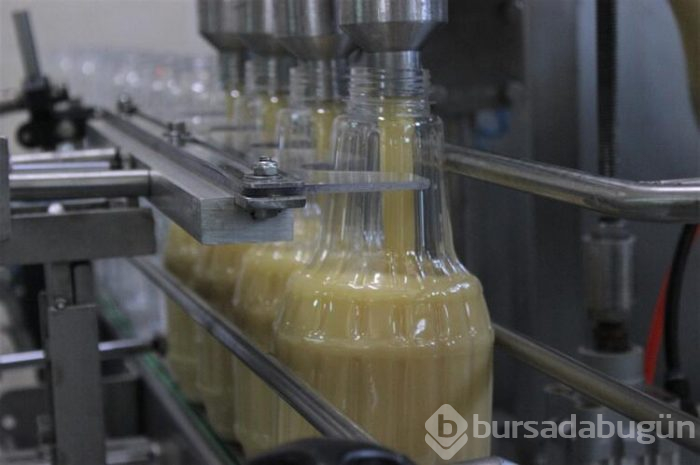 Bursa'da bozanın meyvelisini ürettiler