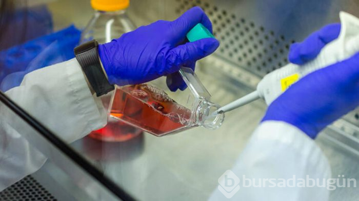 Dünyanın ilk Ebola aşısı!
