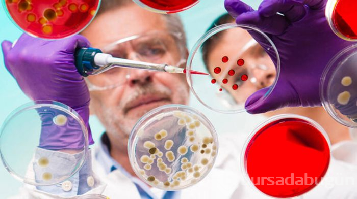 Dünyanın ilk Ebola aşısı!